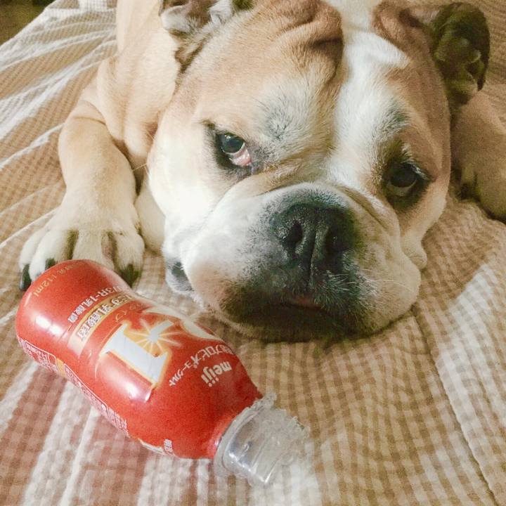 F87f0c9e 0eb9 4a4d a541 9b17964d939c