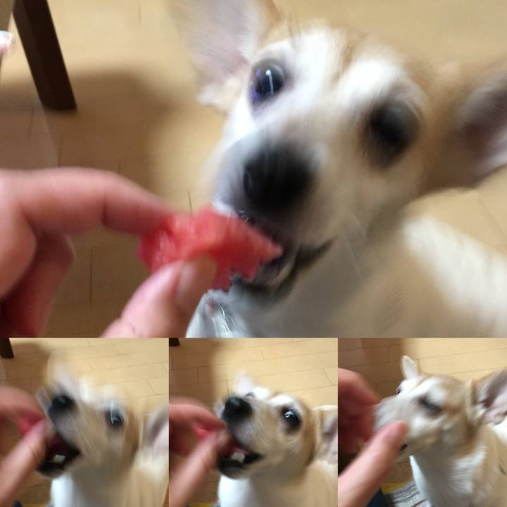 F8806f85 a1b6 4162 85e4 538a618f8222