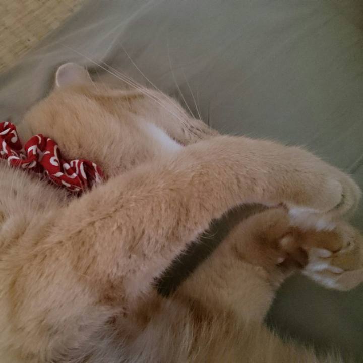 F880a3b9 f4f2 4f18 a9c1 daea62df64cf