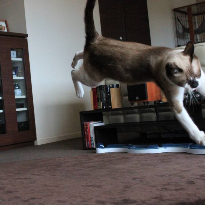 F8815a78 efb5 48ef 8bba da28901ae3cf