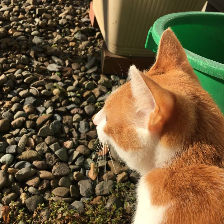 F8818642 c89c 4363 ba52 251af58b69a6