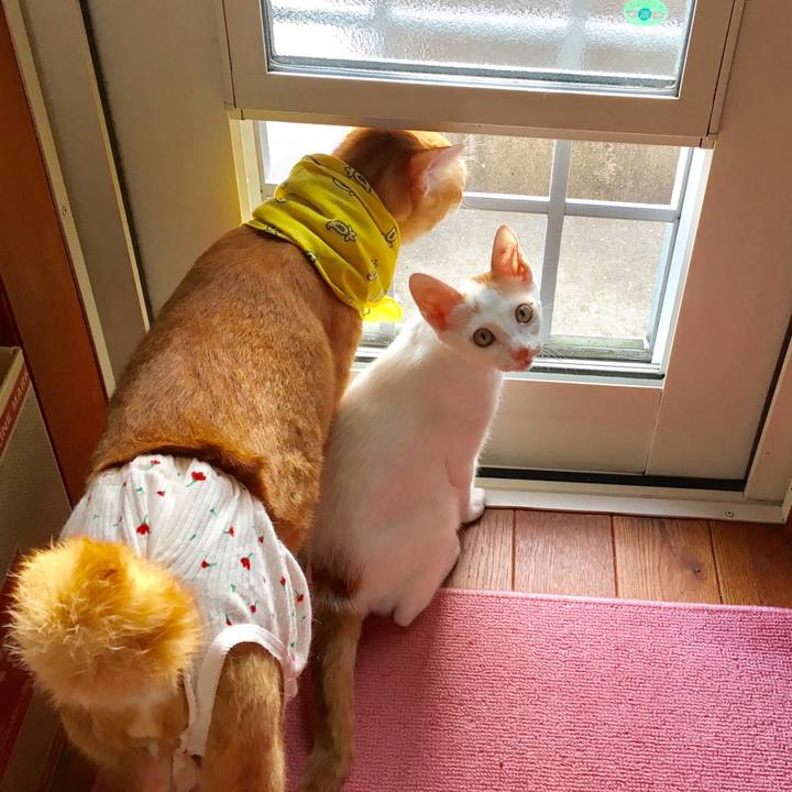 F881d138 ae87 4709 9dfa da52838eca9d