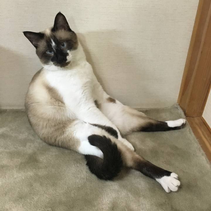 F881ee17 5de6 441b aea4 3da16424f5b7