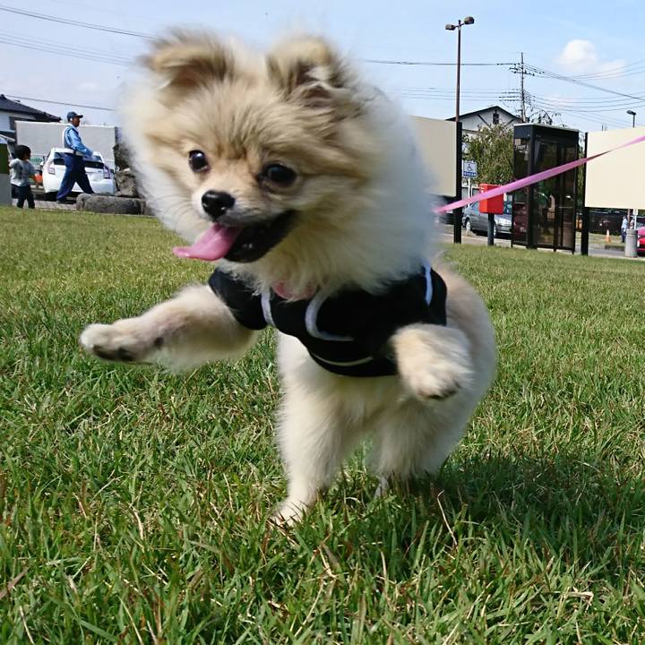 F882ac87 a174 41a7 9131 108cbaca4b12