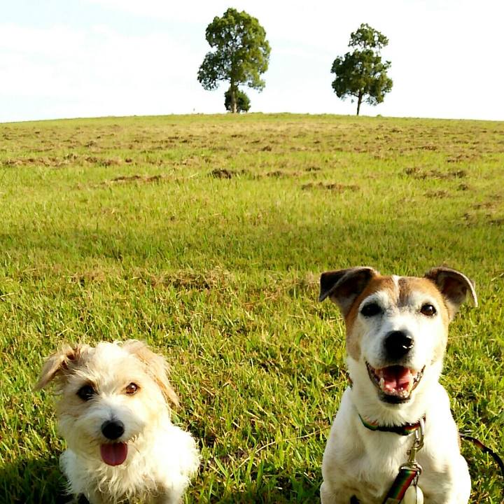 F882cb2e 37b7 485e ab92 a8eb3407bacf