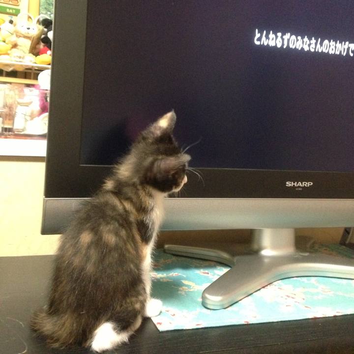 F88312c0 2800 41df 8c25 7374b503886b