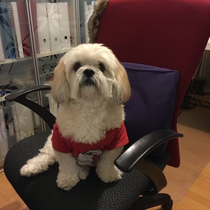 F8835746 4471 4405 9c7d ab4bb2cd489d