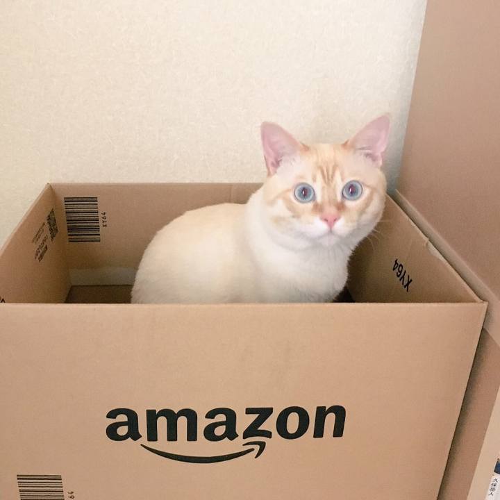 F883a052 b110 4d58 b6d2 cc8f146ae388