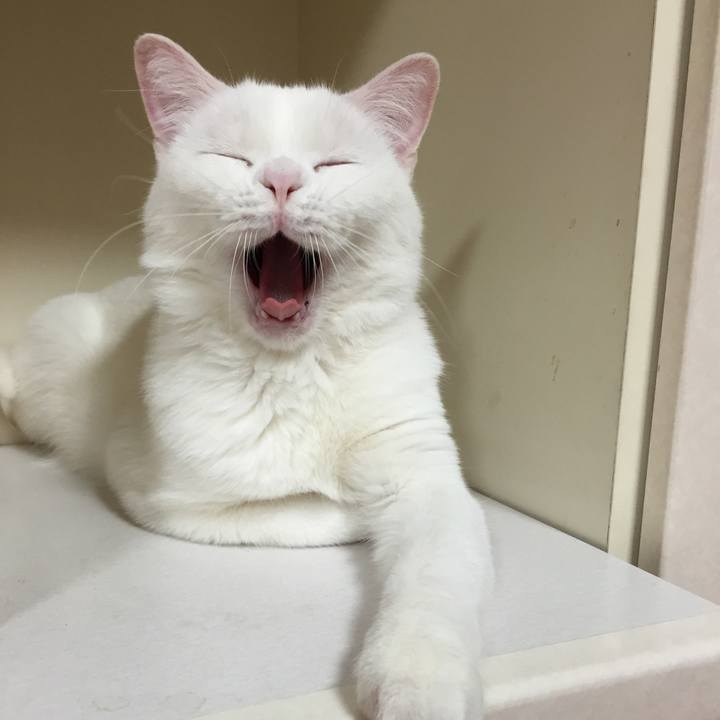 F8841096 8f67 4cea a5c7 9a07386d8b04