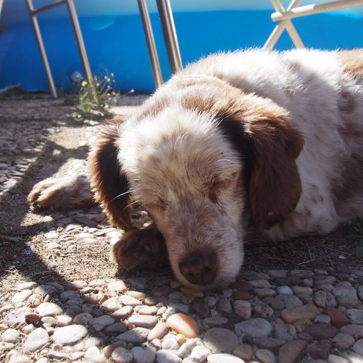 F8841c92 64cb 4e9e 83fe 3fb72ff7a200