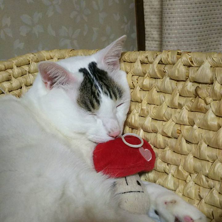 F8848f38 940e 4336 94ad 64a3f6781eb7