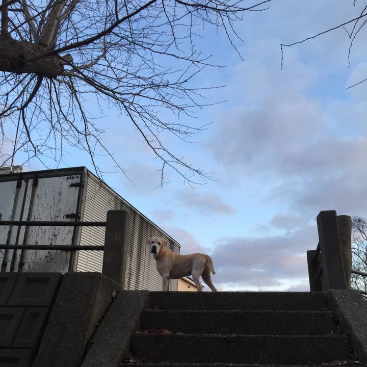 F884dfdf 2fe4 40f8 aed2 481a1ebaed95