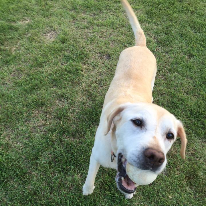 F886e6ac 08a1 46e4 995b 88d22c0cc636