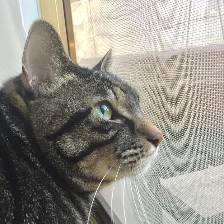 F8878dd1 e388 4dd2 aa95 49aa06e24ee8