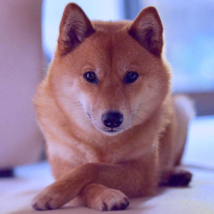 F88794d9 1f88 45be b95e 4307d6d33e73