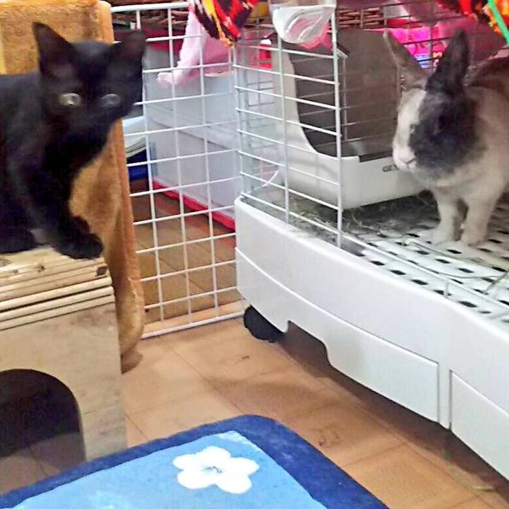 F8881918 c389 4091 b0c7 610a341a1681