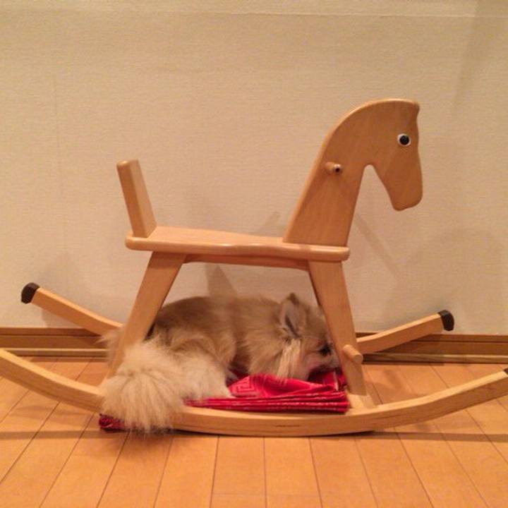 F8881a3d d590 47e1 80b1 b53a37f51186