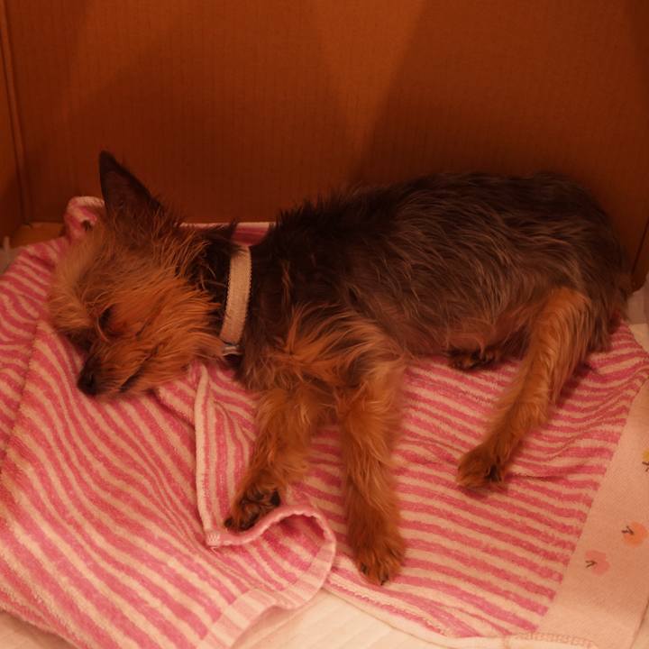 F8889d6b ccfb 4cfe a0dc c8b6ba68dfc4