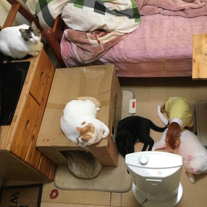 F888a365 b75a 4eac a425 1435485baeed