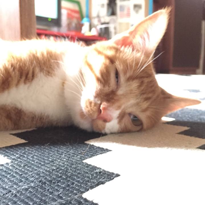 F888c605 eb8a 40f3 83e1 53fb7c556989