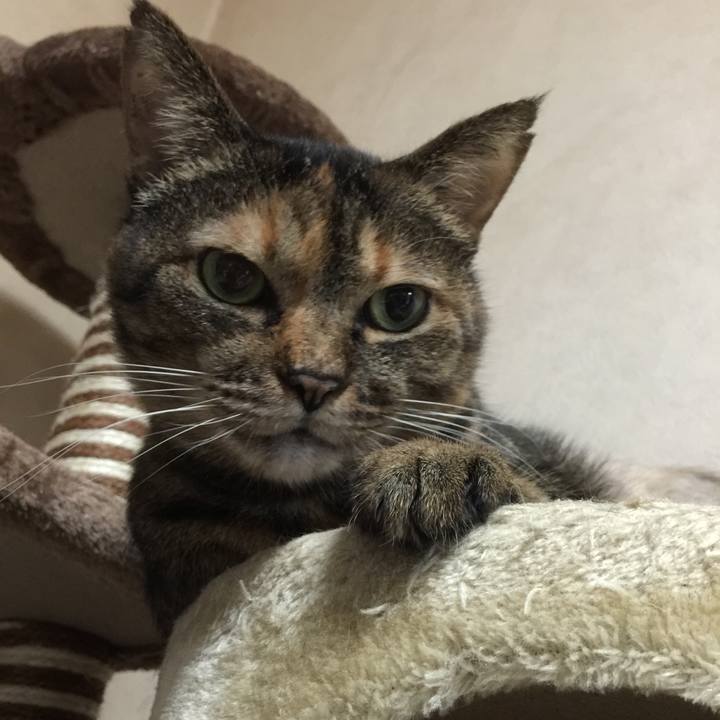 F8890597 8b21 4c80 ad42 54be4837b867