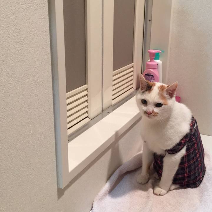 F8890e4a f6eb 48b3 a649 f2538c79fc5a