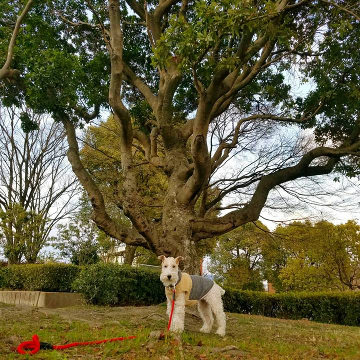 F8893bce ebc9 4c86 b115 50e20c02ee3f