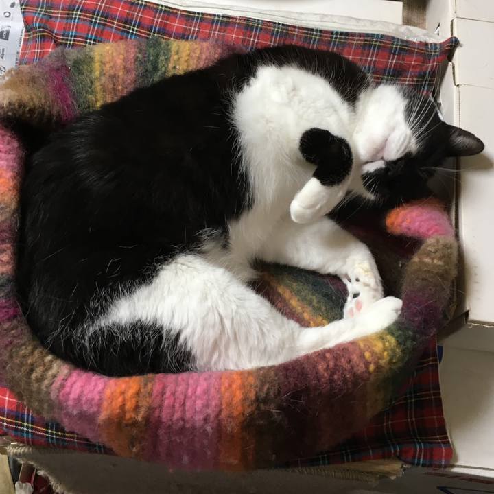 F8895fa2 2d18 47f9 a5dd 320e35afa6e2