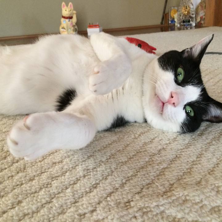 F88960fe 16b2 4318 9710 704089c490d7