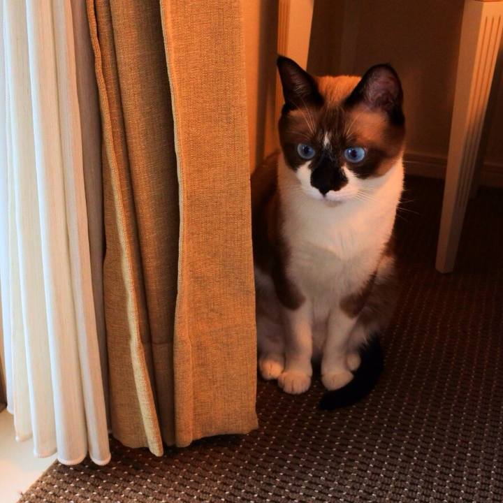 F8897ae9 1a9c 4973 b491 5288c6f55465