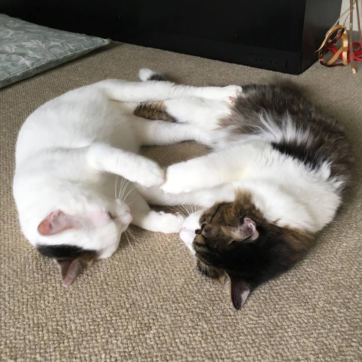 F88988c5 a21b 401d 8a18 22110f5fc50d