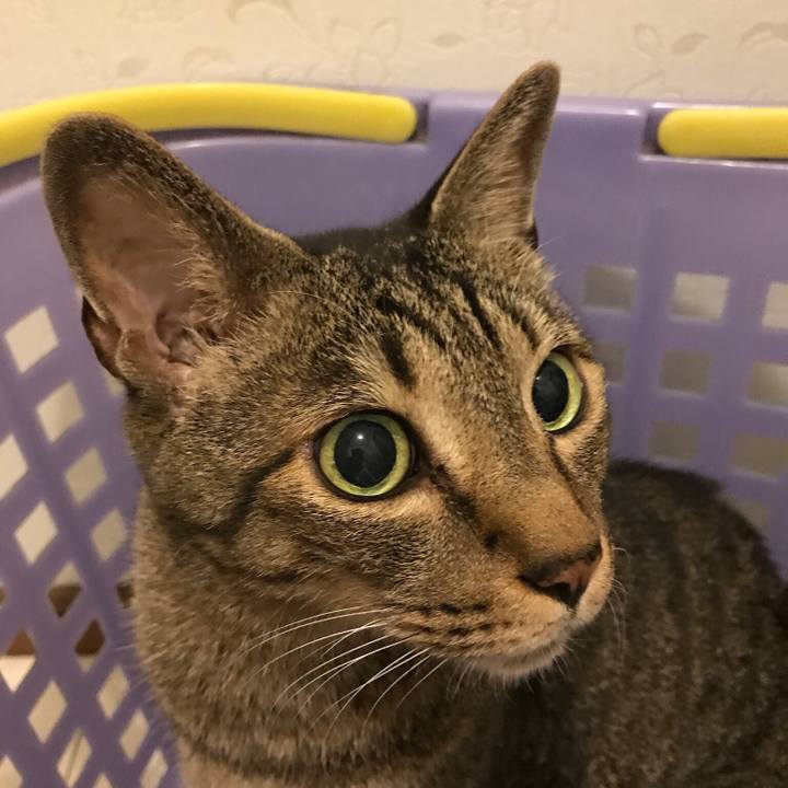 F889ff47 0448 4333 b8ea 51d6d60f1117