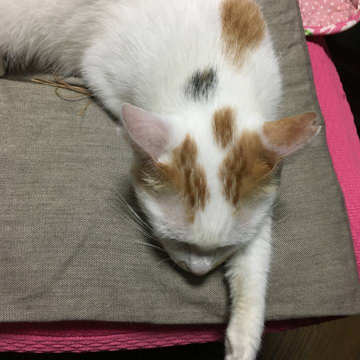 F88a3117 6215 453a a930 d25326311923