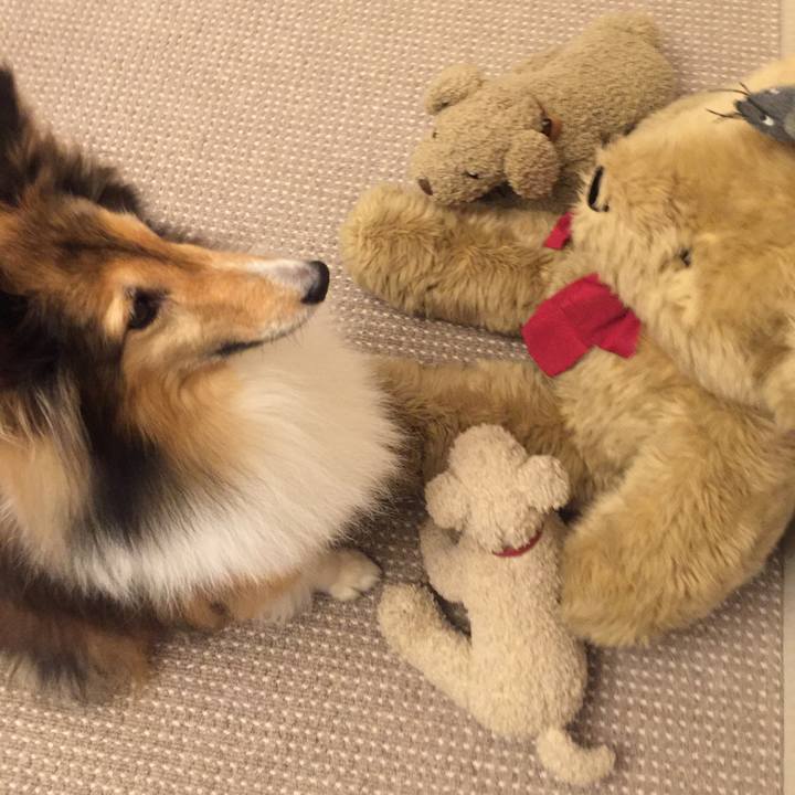 F88a352a 52d9 4c5c ab92 e39cc62945aa