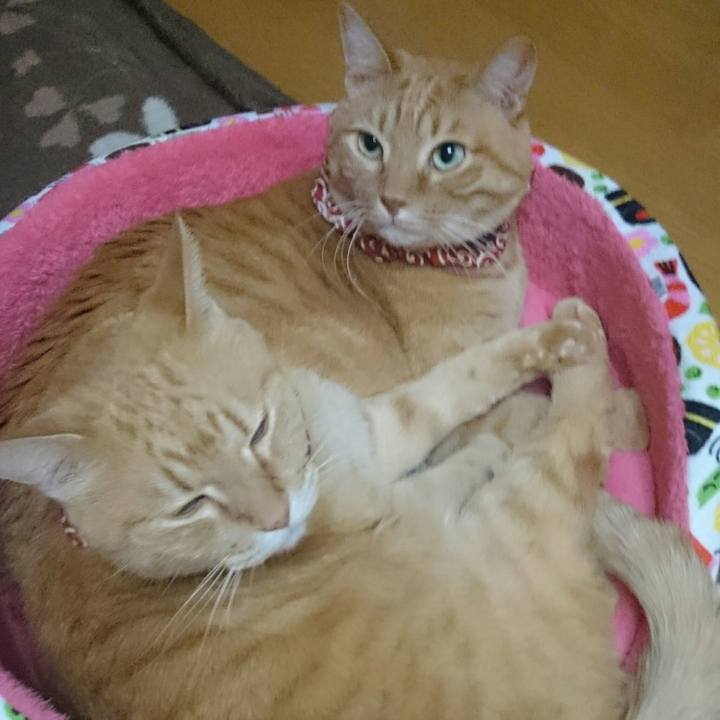 F88ac0ac ceec 44df be90 f4d73b1fd505