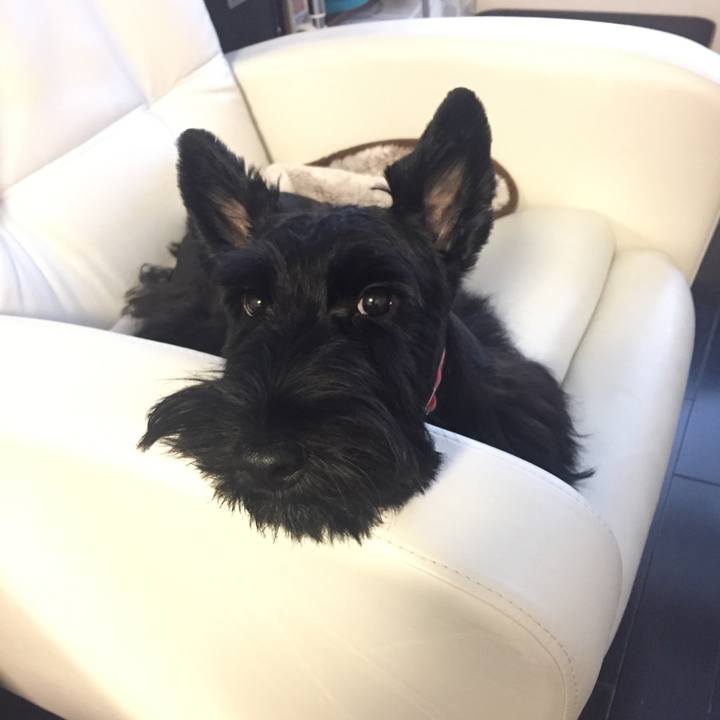 F88ad538 a5c1 4248 9d27 d8c0b157a39b