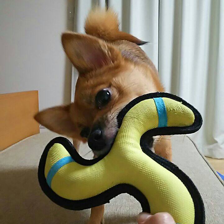 F88ae10f 6d4a 481b 99be f9dc531948ba