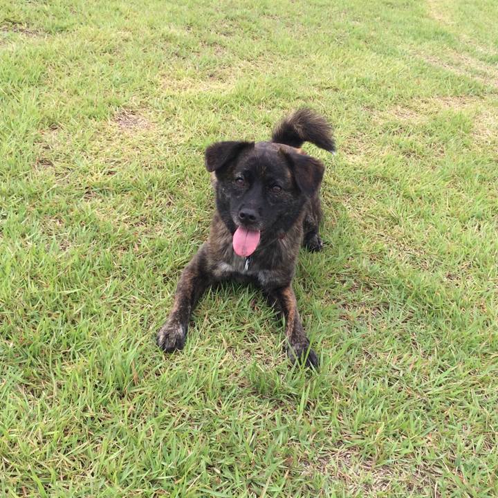 F88b3a59 ca01 4691 9ac0 f8892d6faab4