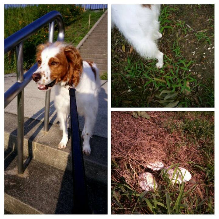 F88b4ba5 d73b 4cf9 b82a b60ddcd547d9