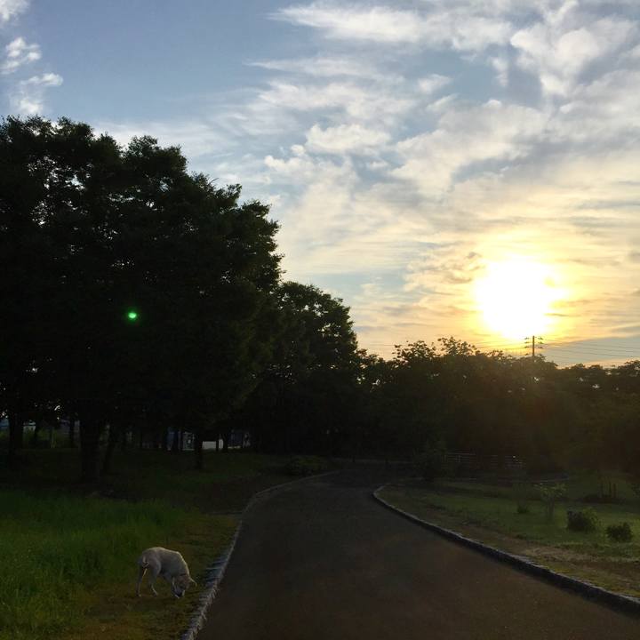 F88b59e3 a285 488d 898c ed7b1a36377a