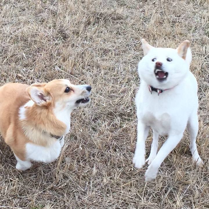 F88bd330 89ea 4070 87cd 5e5d1e64396d