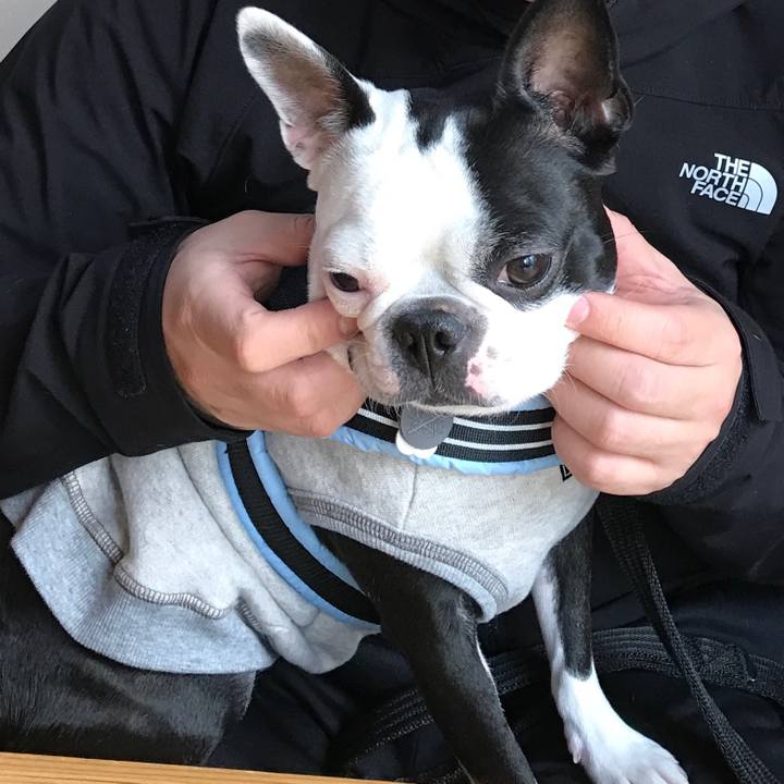 F88c081d 6a91 49b6 96d3 9a251f483493