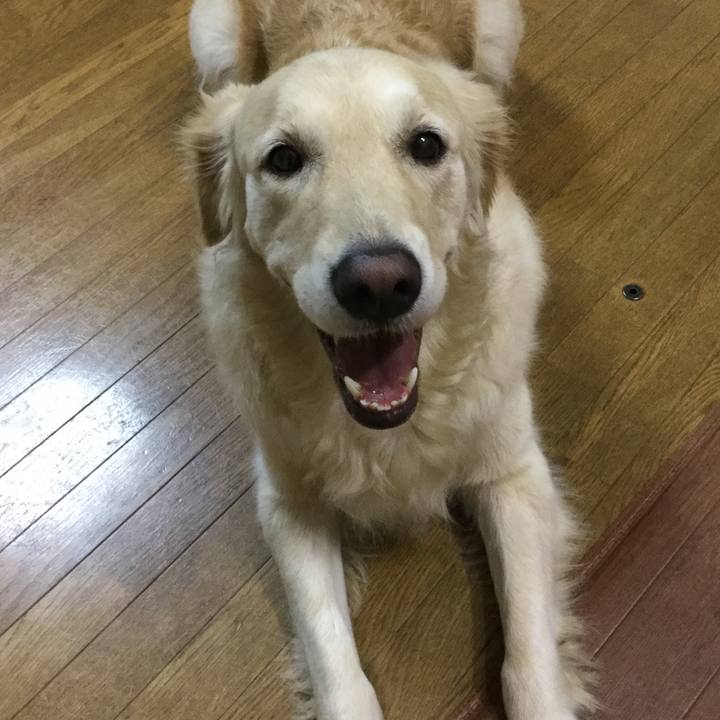 F88c1fb6 e823 4ac0 97d1 b20ac435be38