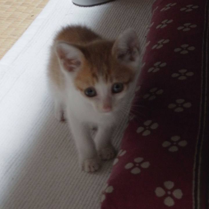 F88caa29 c868 401d b62a 33b45928e941