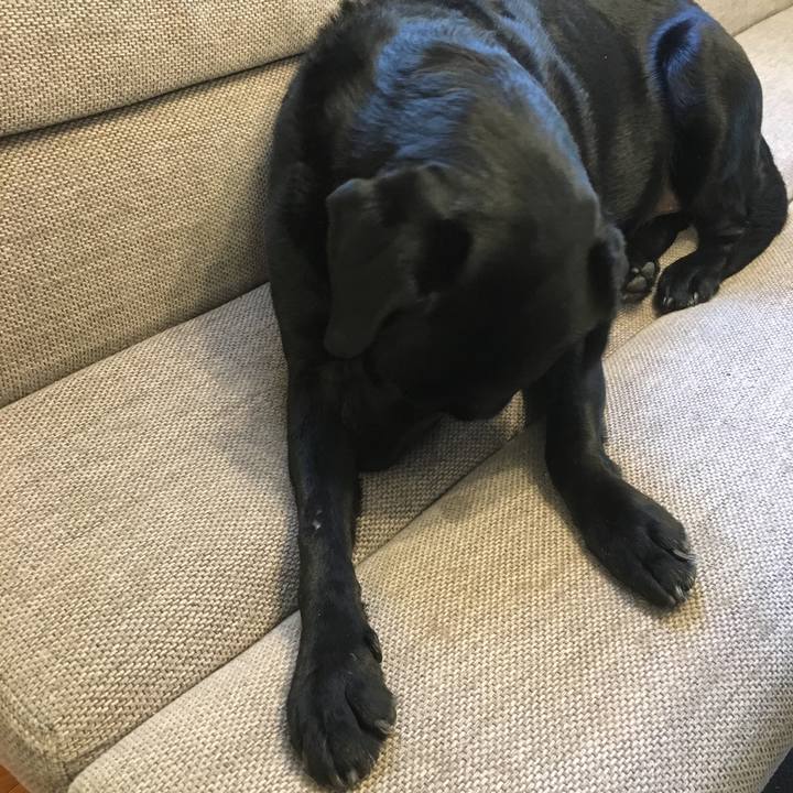 F88def8f 9ab9 4cc9 ac59 87ccef563185