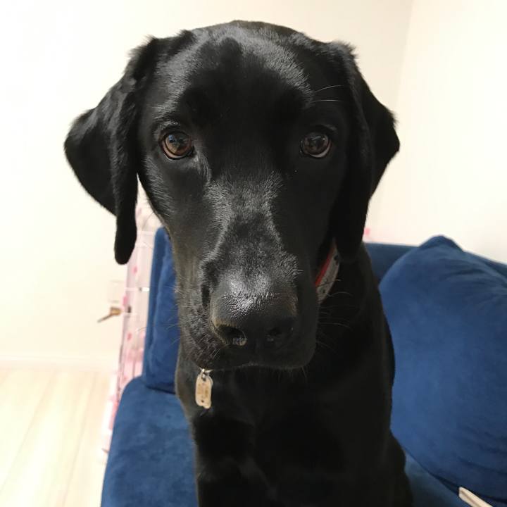 F88e9c2f ec59 428c aa7d 0f4284b98b10