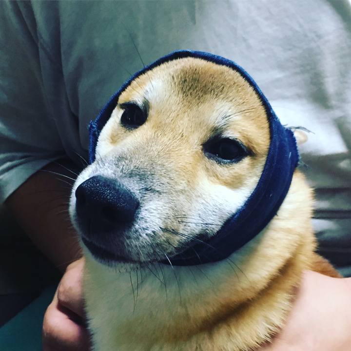 F88ea616 51e5 46e7 a561 4105b3bda218