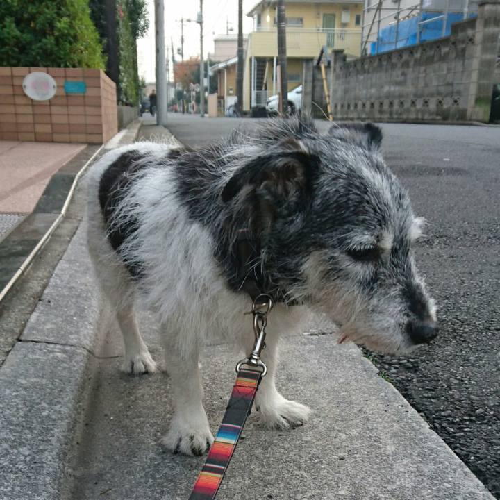 F88f4ca6 8581 4aaf 8cc9 ef20afb3cb22