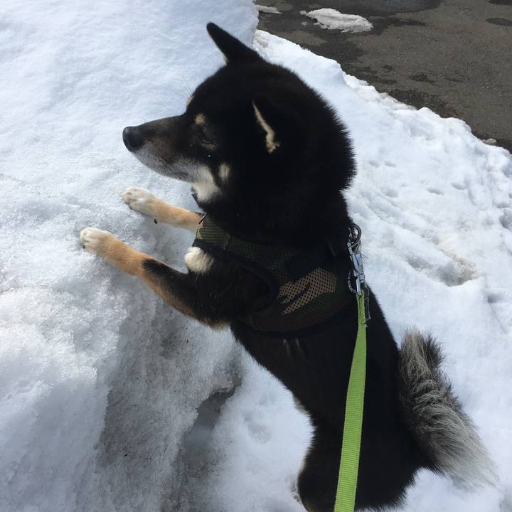 F88f7086 6185 4639 8d53 fef149baa1c6