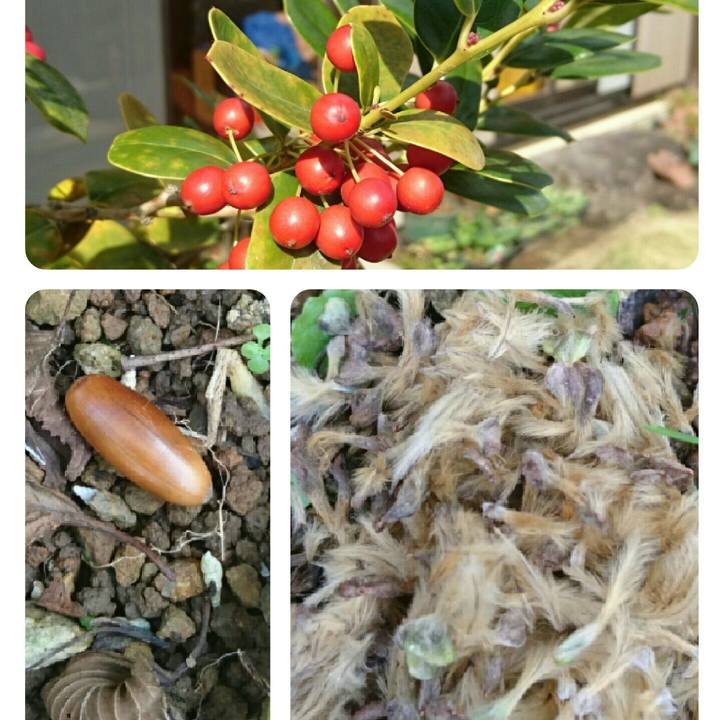 F88f882c 7748 4e38 a26f 76c10e175fca